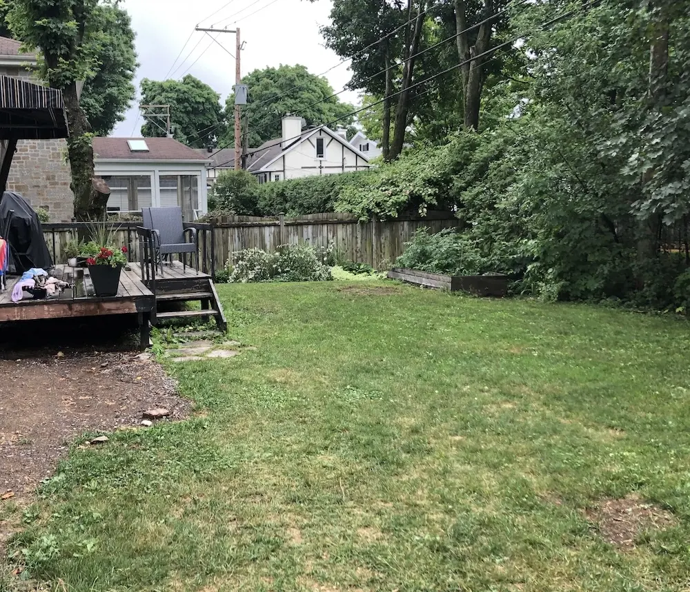 Before photo of a grassy backyard with a wood deck, mature trees, shrubs, and a simple lawn before landscape renovation.