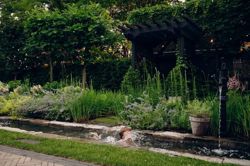 Backyard garden water feature with Limestone cap edging, natural planting, shrubs, and a small fountain.