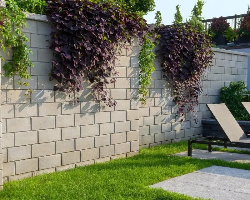 Espace détente extérieur moderne avec un mur autoportant Raffinato Lisse de Techo-Bloc, blocs lisses double face, végétation grimpante et mobilier contemporain.