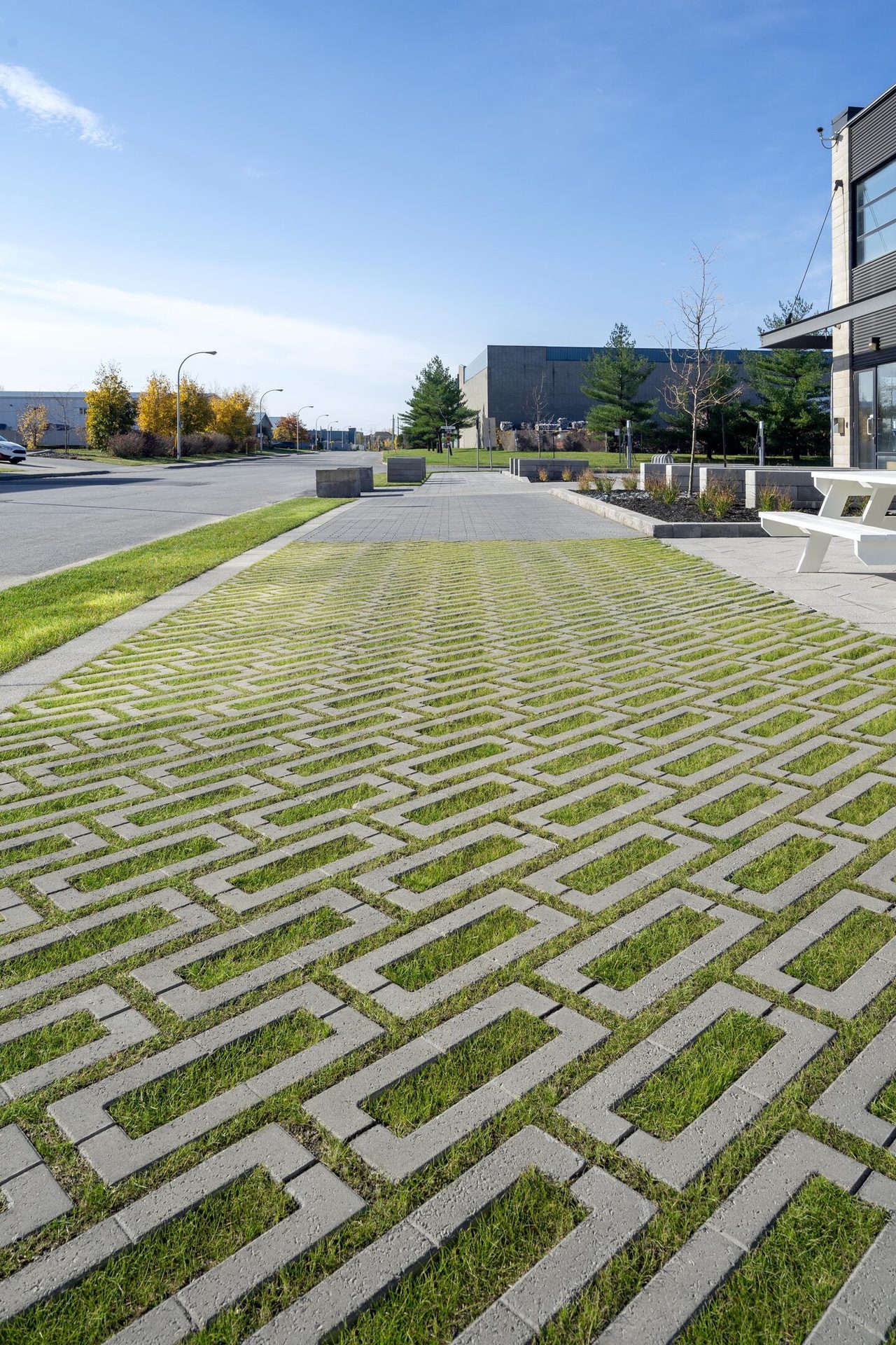 Road surface, Urban design, Land lot, Sky, Plant, Cloud, Infrastructure, Tree, Grass, Car