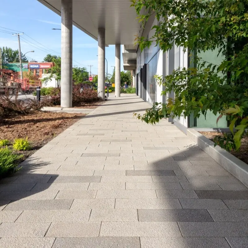Allée de campus conçue avec des pavés de la collection Industria et Hydra de Techo-Bloc, alliant esthétique haut de gamme et gestion perméable des eaux pluviales.