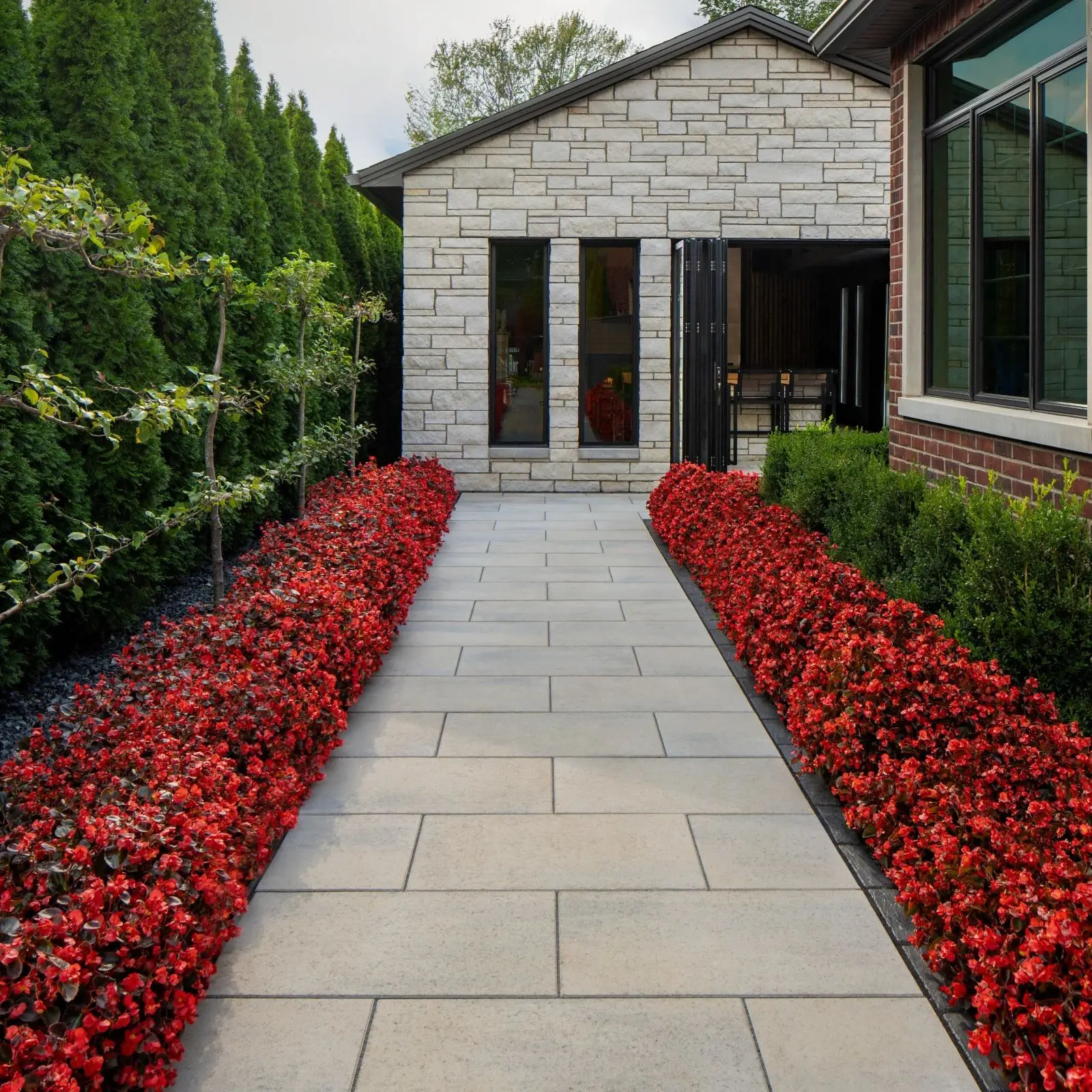 Blu Grande Smooth Slabs by Techo-Bloc in beige, linear walkway bordered by red flowers and green hedges to modern entrance.