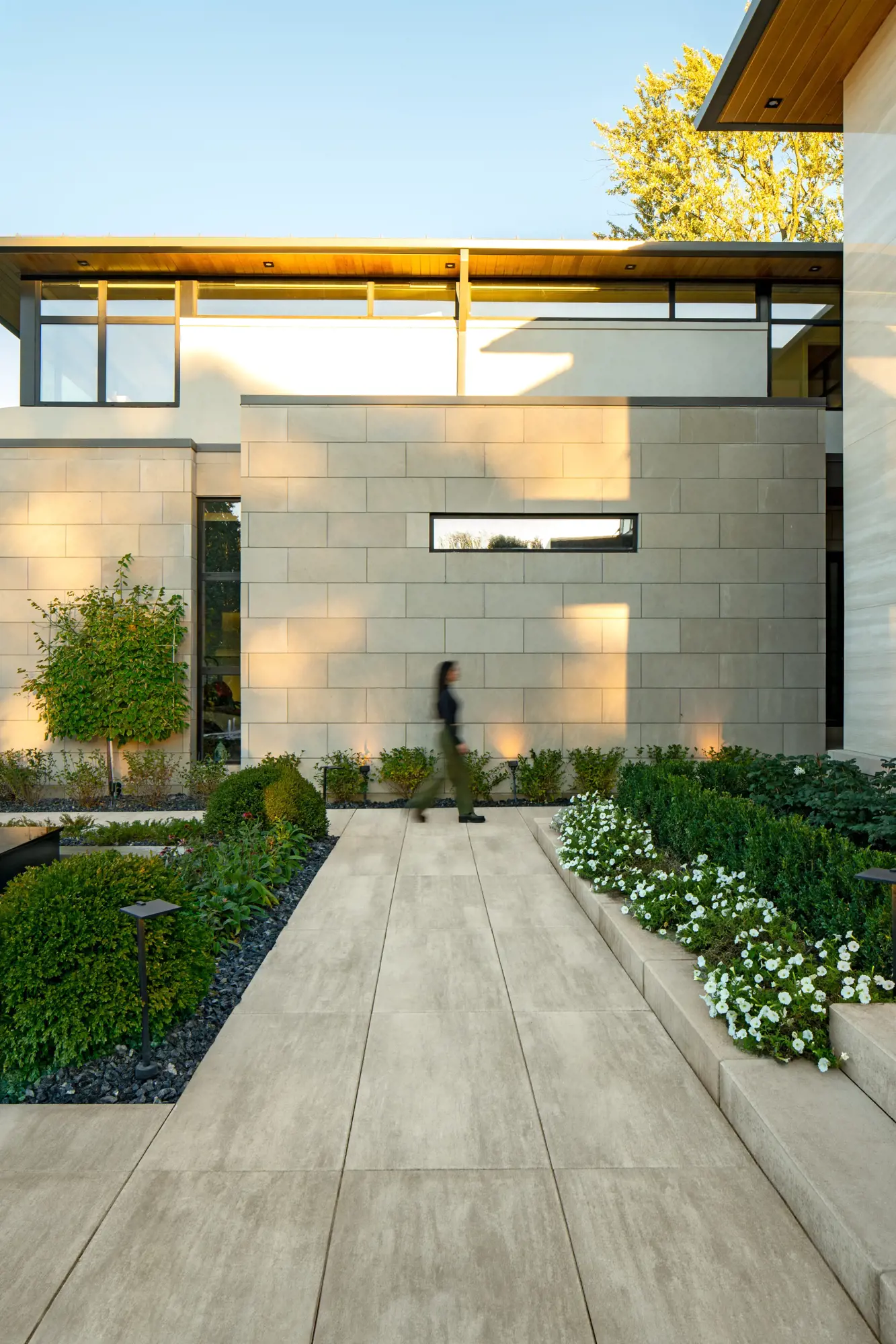Façade de maison moderne avec allée Industria et verdure étagée