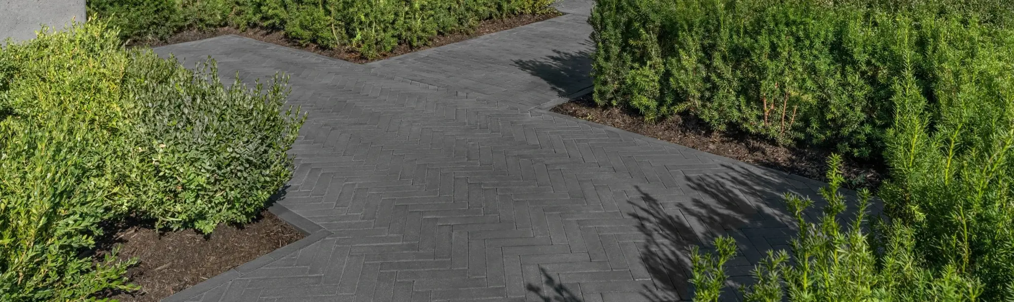 Allée moderne en pavés Westmount de Techo-Bloc disposés en motif chevron, entourée de verdure luxuriante pour un aménagement paysager structuré et intemporel.