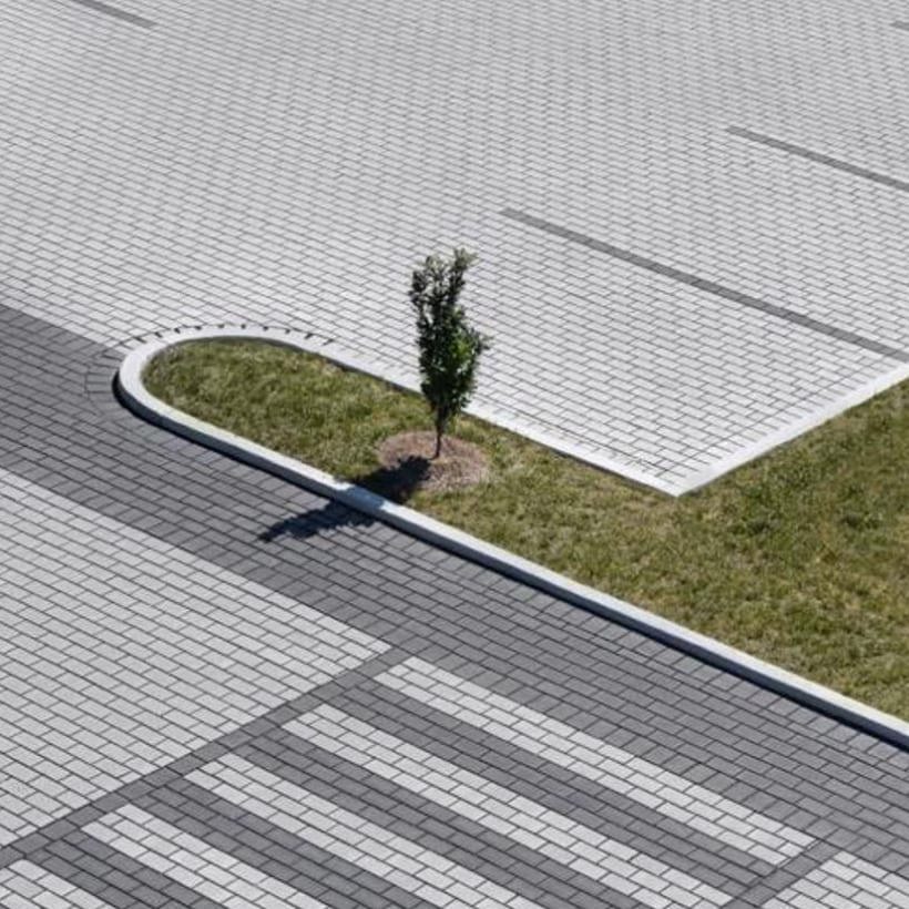 Diamond and Hydra at Chambly Public Library.