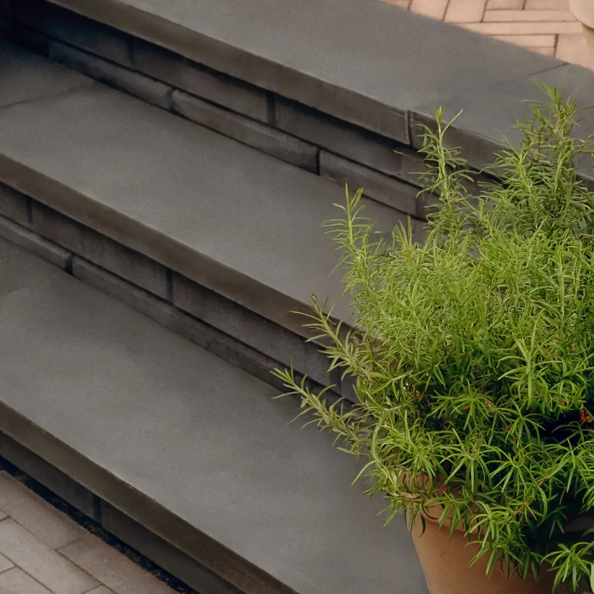 Garden steps finished with Limestone caps in Onyx Black, paired with layered concrete risers and potted greenery.