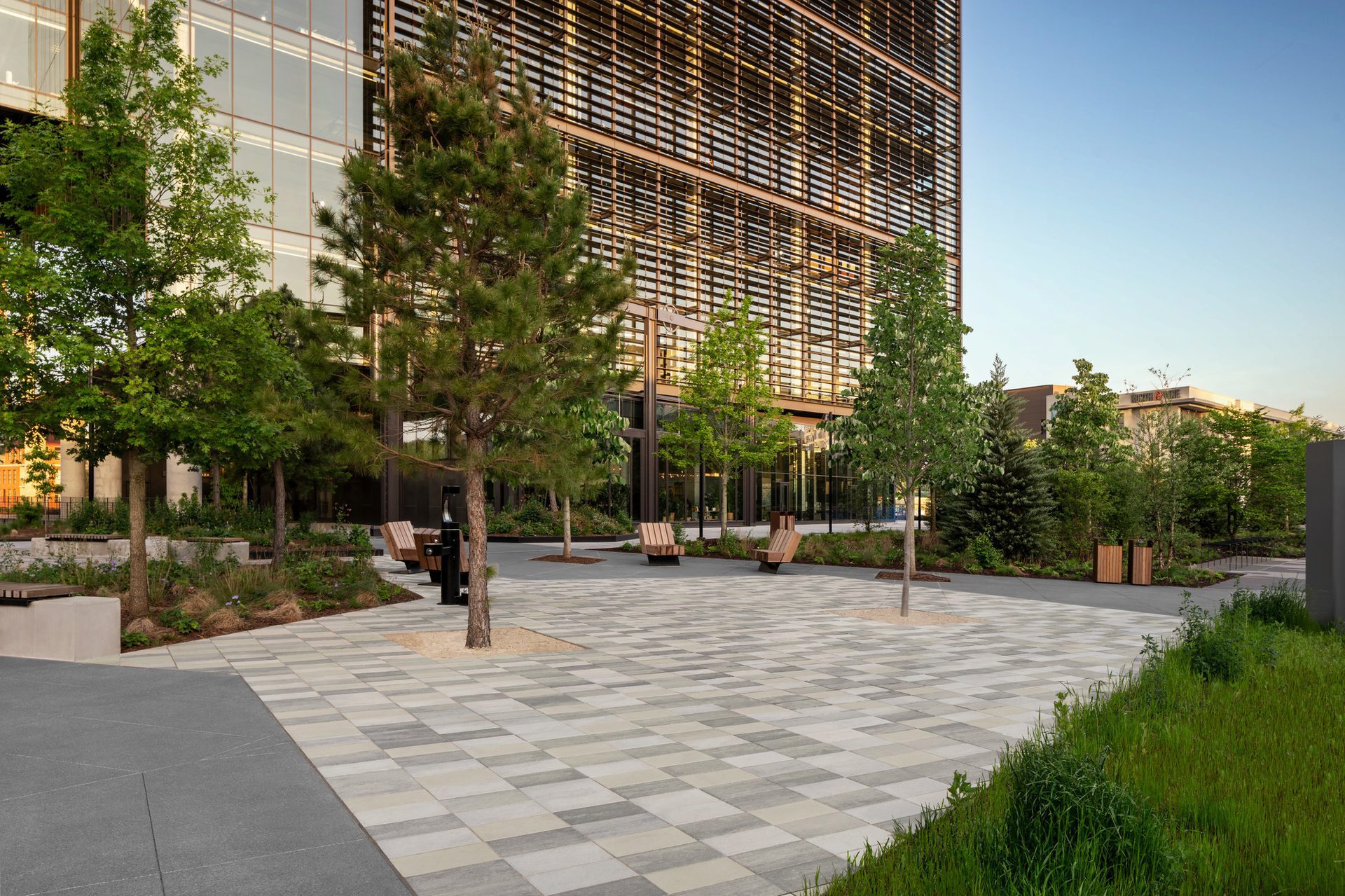Road surface, Urban design, Tower block, Building, Plant, Tree, Sky, Skyscraper, Architecture, Condominium