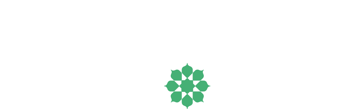 Collection Studio 