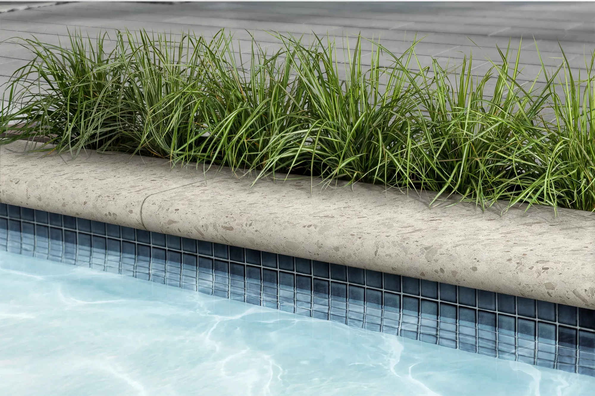 Terrazzo Bullnose Cap in Stardust Beige installed as pool coping with an exposed aggregate texture