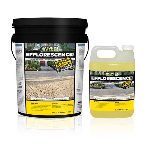 EFFLORESCENCE】-EFFLORESCENCE×Filton Gator Professional Grade Efflorescence | Accessories | Techo