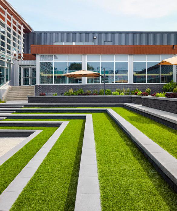 T B2021 new case study 3 west island college image 2 (1)