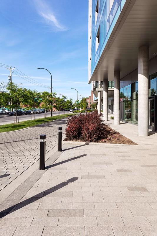 Pavers Industria Granitex Paver pavés 2019 C A008 5593 F